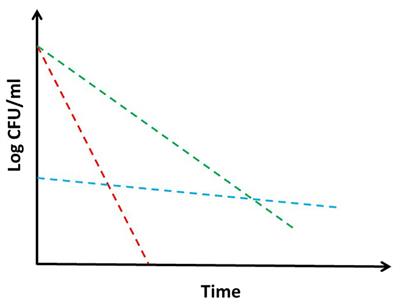 Tolerance and Persistence to Drugs: A Main Challenge in the Fight Against Mycobacterium tuberculosis